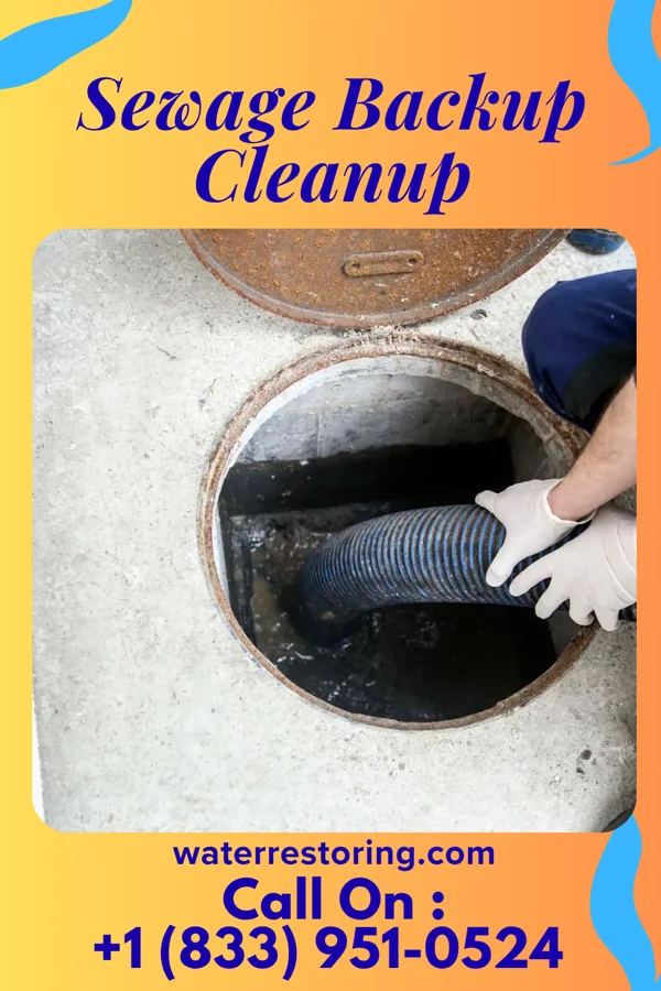 Sewage Backup Cleanup in Port Matilda, PA