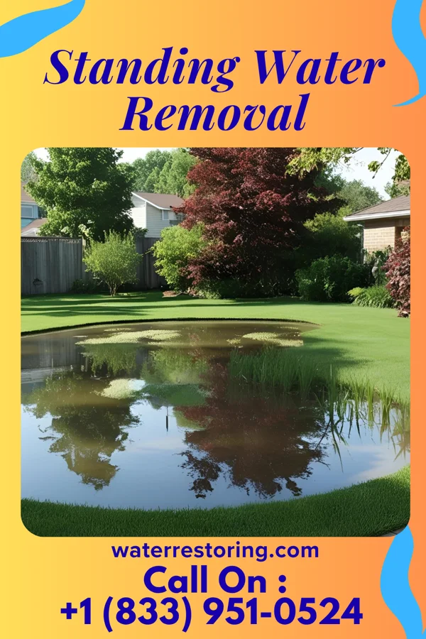 Standing Water Removal in Port Matilda, PA